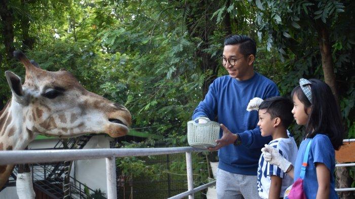 Persiapan yang Perlu Diperhatikan Sebelum Berwisata di Kebun Binatang